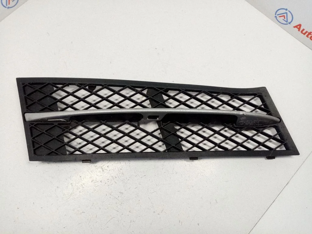 Front bumper lower grill – BMW 5 Series F10 F11 (2009-2016)