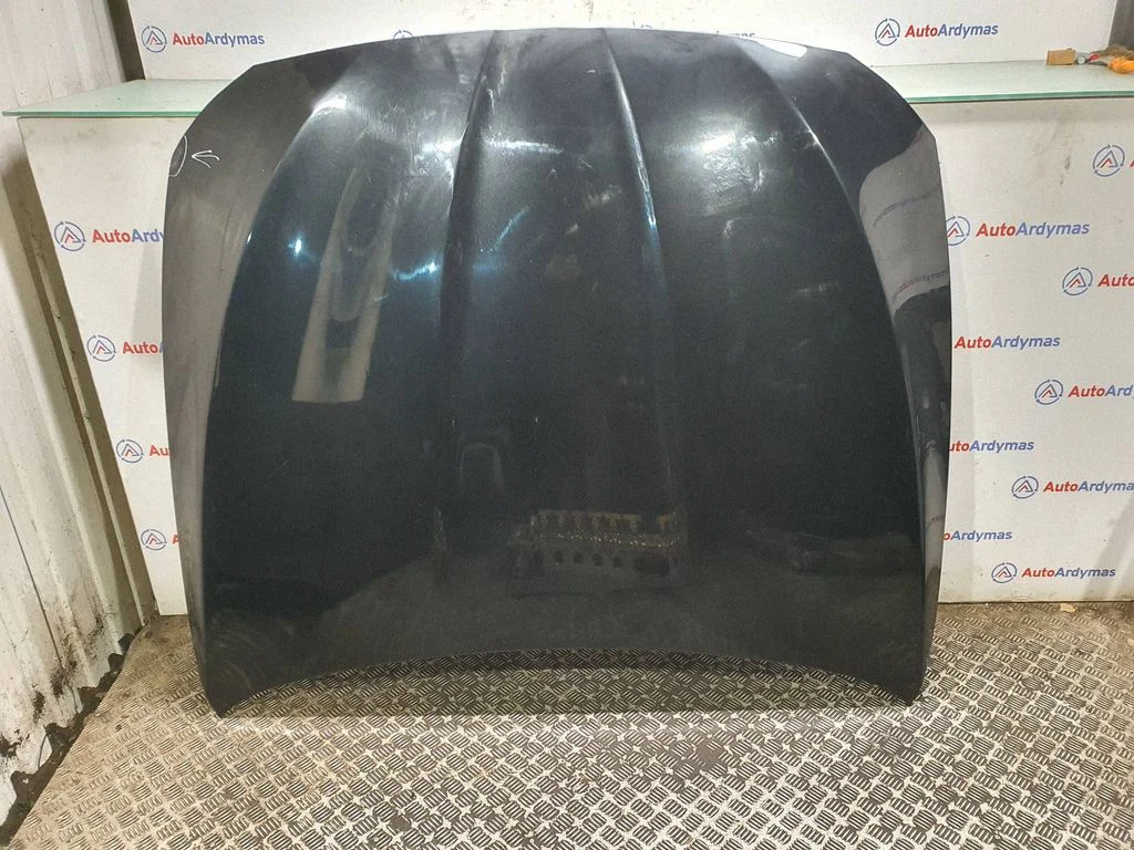 Engine bonnet/hood 7207194