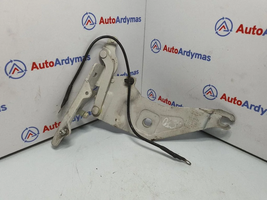 Engine bonnet/hood hinges 7208628