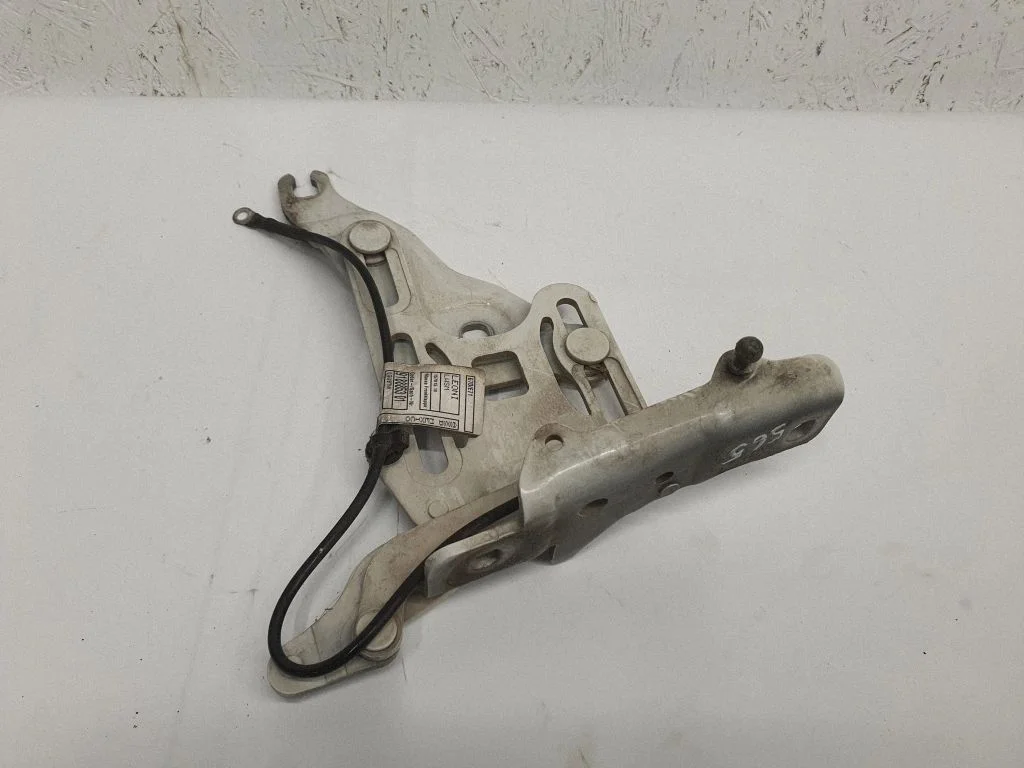 Engine bonnet/hood hinges 7198618