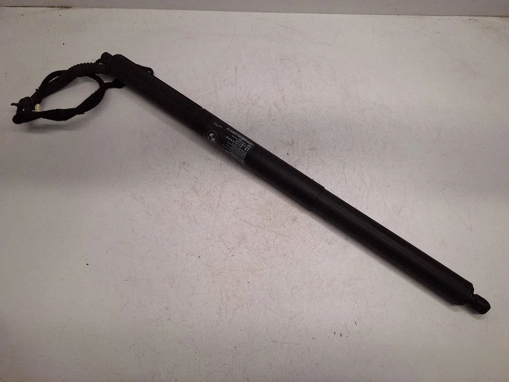 Tailgate/trunk strut/damper 7287805
