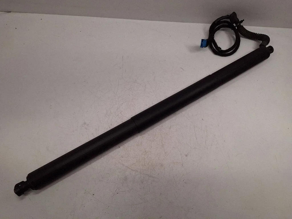 Tailgate/trunk strut/damper 7232004
