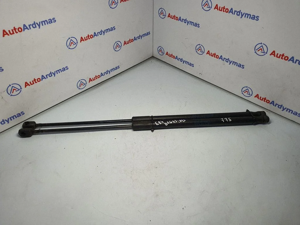 Tailgate/trunk strut/damper 2990136