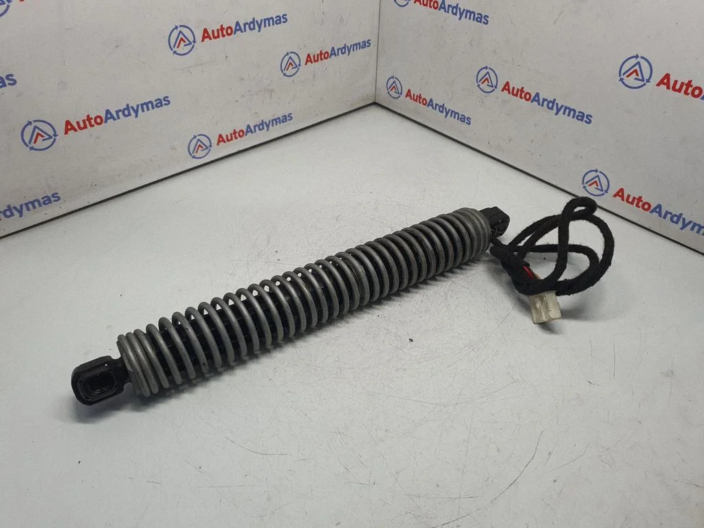 Tailgate/trunk strut/damper 7207010