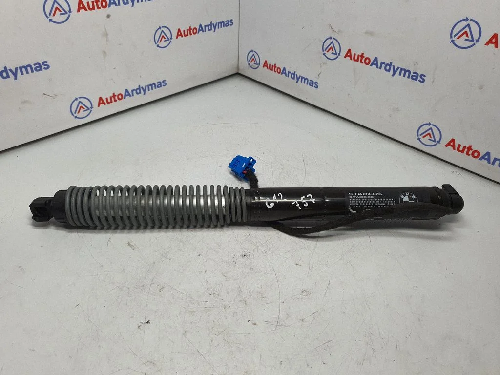 Tailgate/trunk strut/damper 7357110