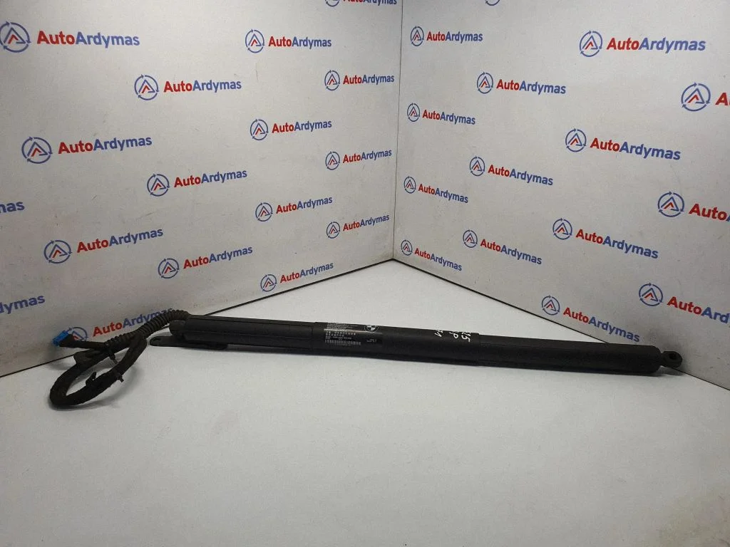 Tailgate/trunk strut/damper 7232004