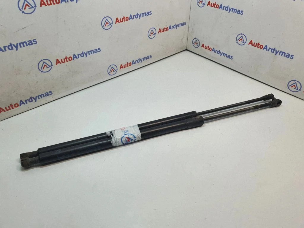 Tailgate/trunk strut/damper 8402405