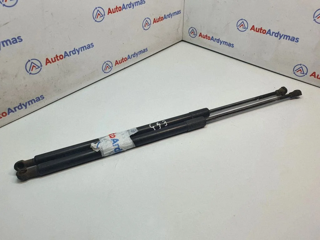 Tailgate/trunk strut/damper 8402405