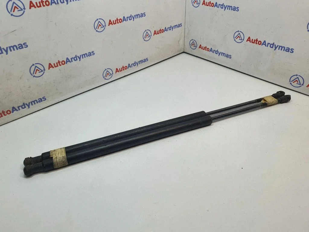 Tailgate/trunk strut/damper 8402405