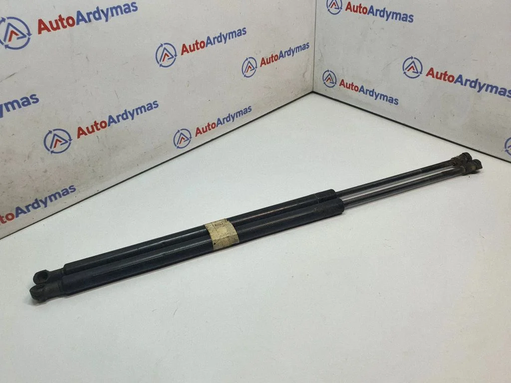 Tailgate/trunk strut/damper 8402405