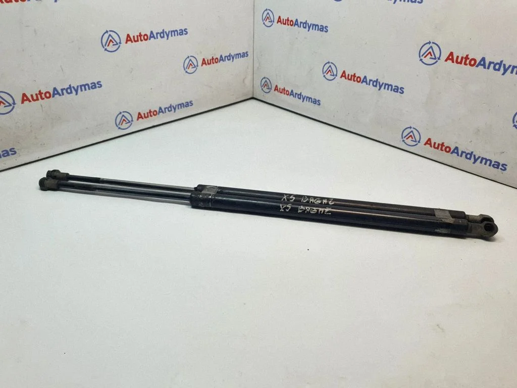Tailgate/trunk strut/damper 8402405