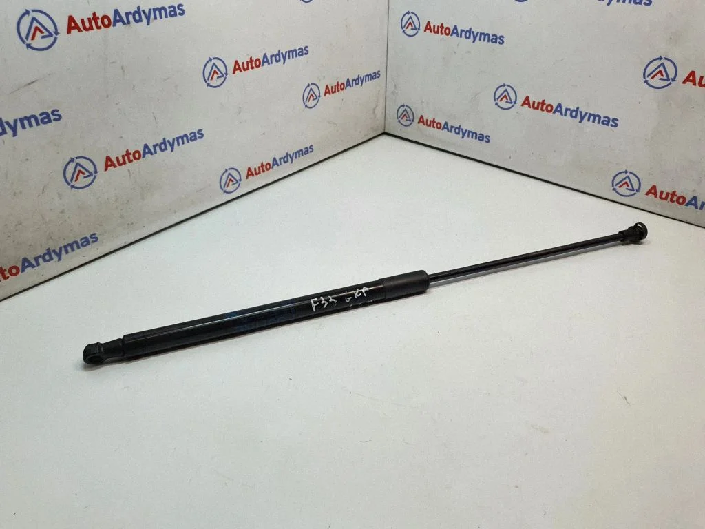 Tailgate/trunk strut/damper 7295244