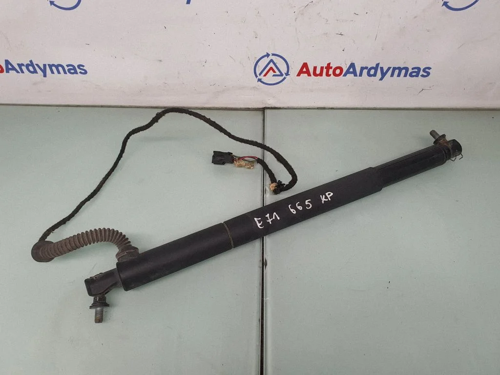 Tailgate/trunk strut/damper 7188489