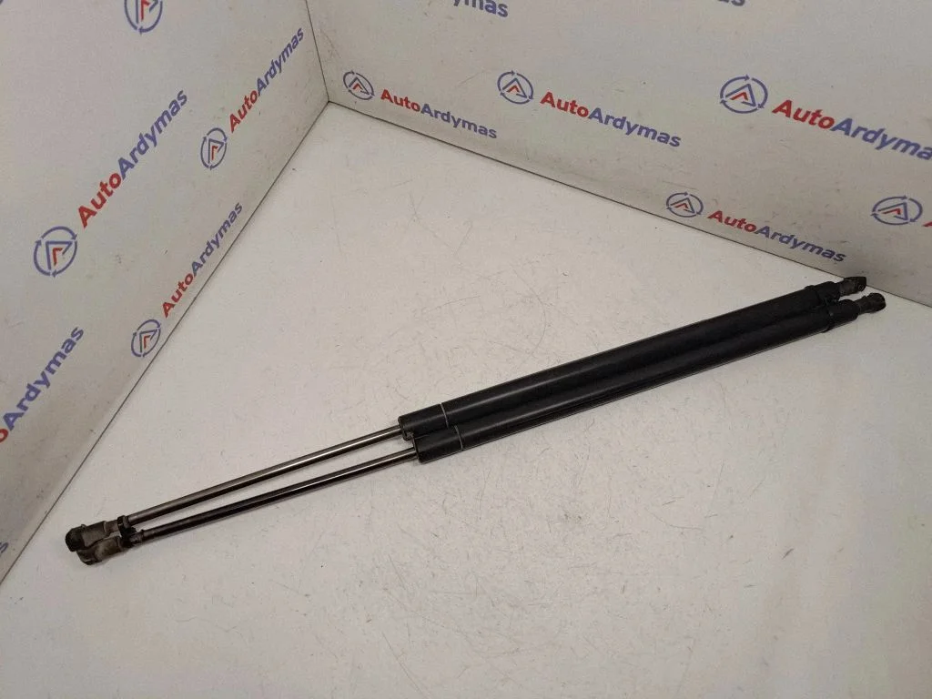 Tagaluugi gaasiamortisaator – BMW X3 E83 (2003-2010)