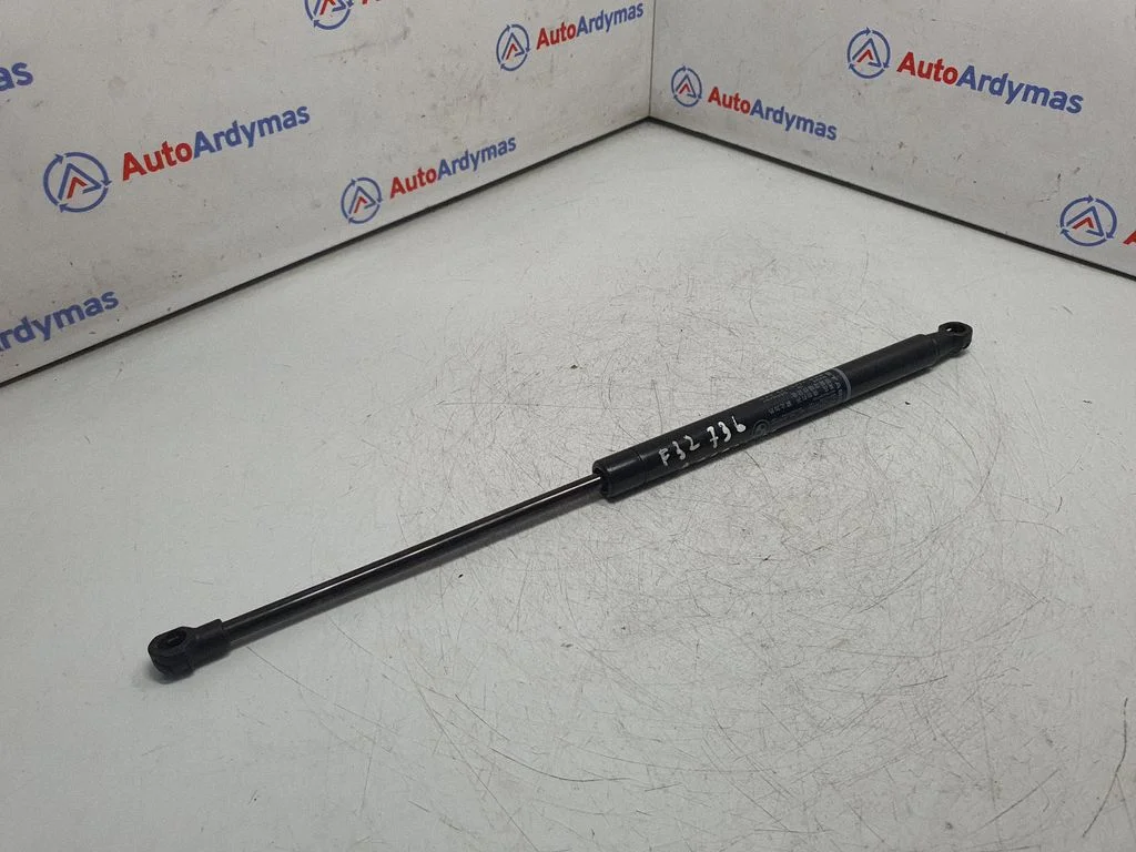 Aizmugurējā vāka amortizators 7295205