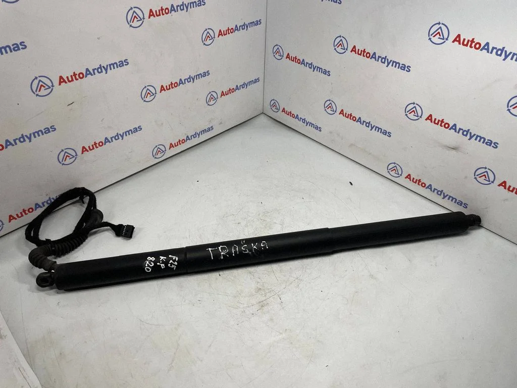 Tagaluugi gaasiamortisaator 7232003