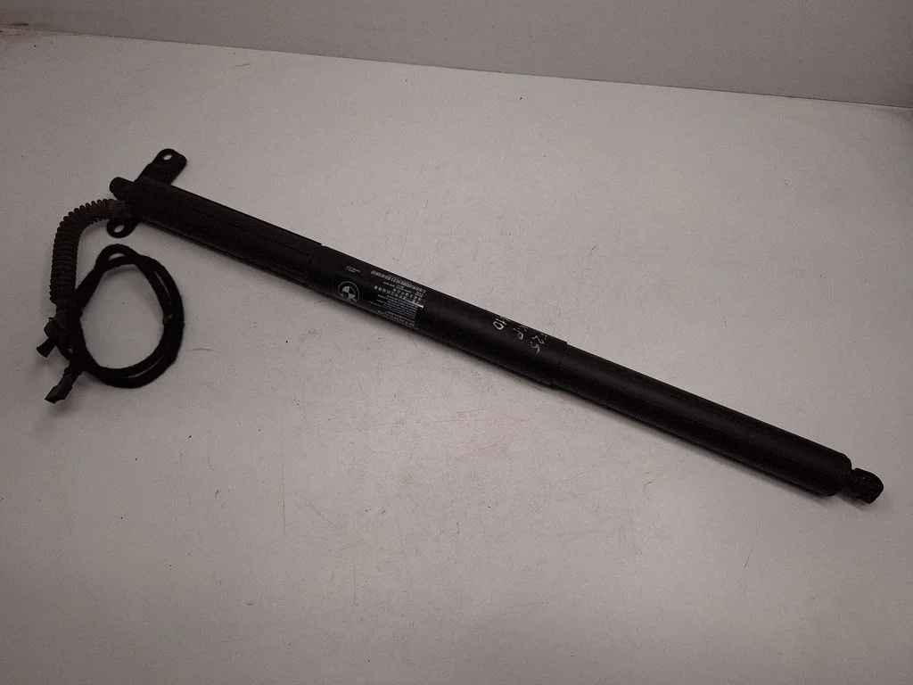 Tailgate/trunk strut/damper 7287805