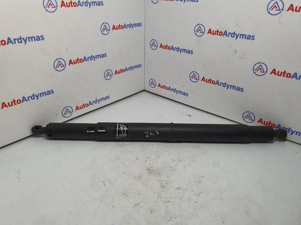 Tailgate/trunk strut/damper 7201940