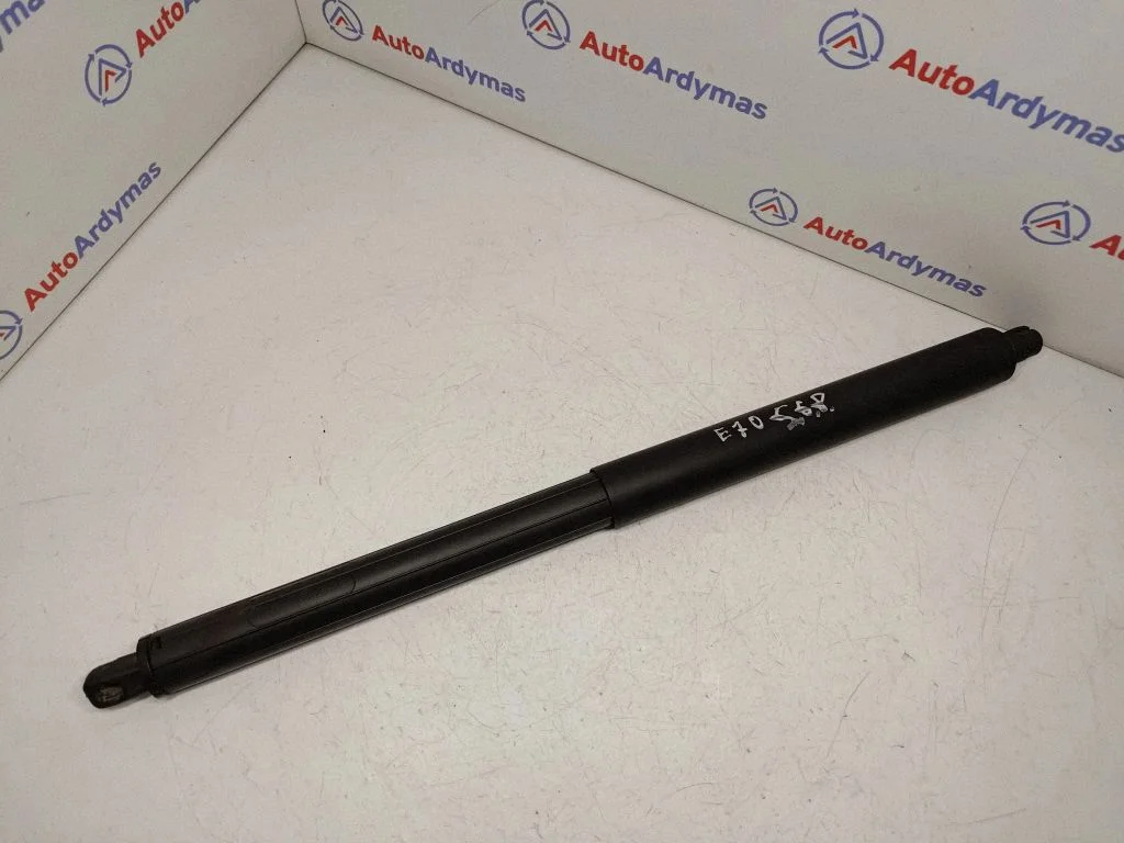 Tagaluugi gaasiamortisaator – BMW X5 E70 (2006-2013)