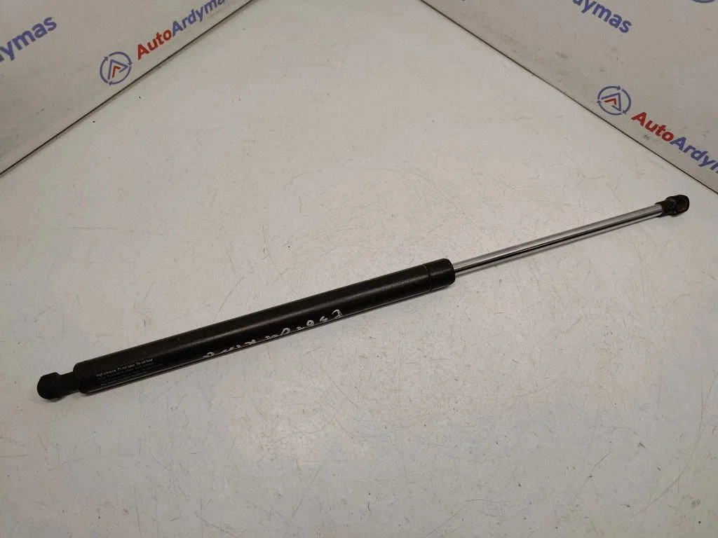 Tailgate/trunk strut/damper 51248171158