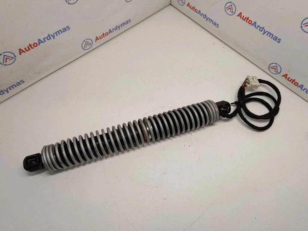Tailgate/trunk strut/damper 7207010