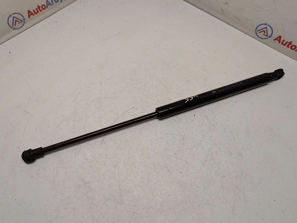 Tailgate/trunk strut/damper 51247295205