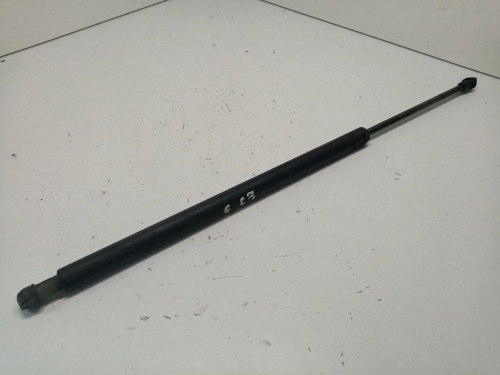 Tailgate/trunk strut/damper 51248402405