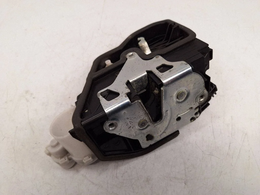 Front door lock 7318419