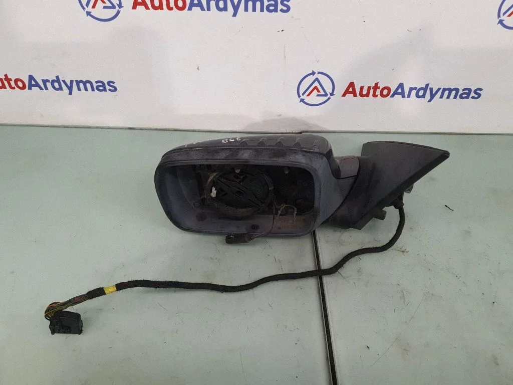 Front door electric wing mirror 51167190179