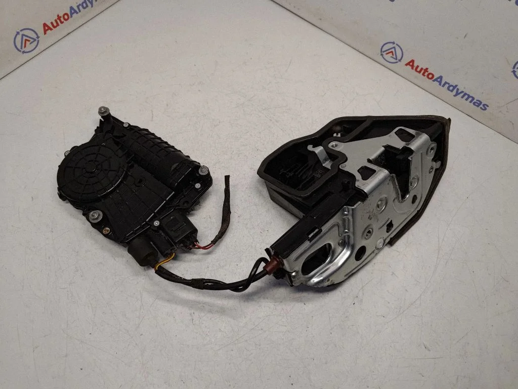 Rear door lock 7185688