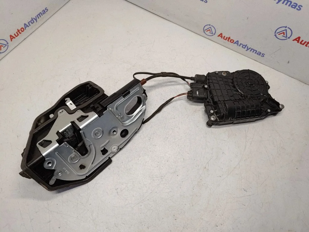 Rear door lock 7185687