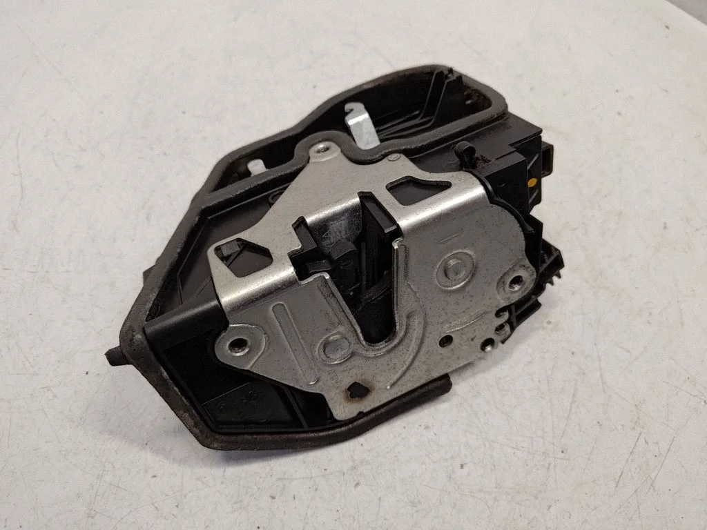 Rear door lock 7202147
