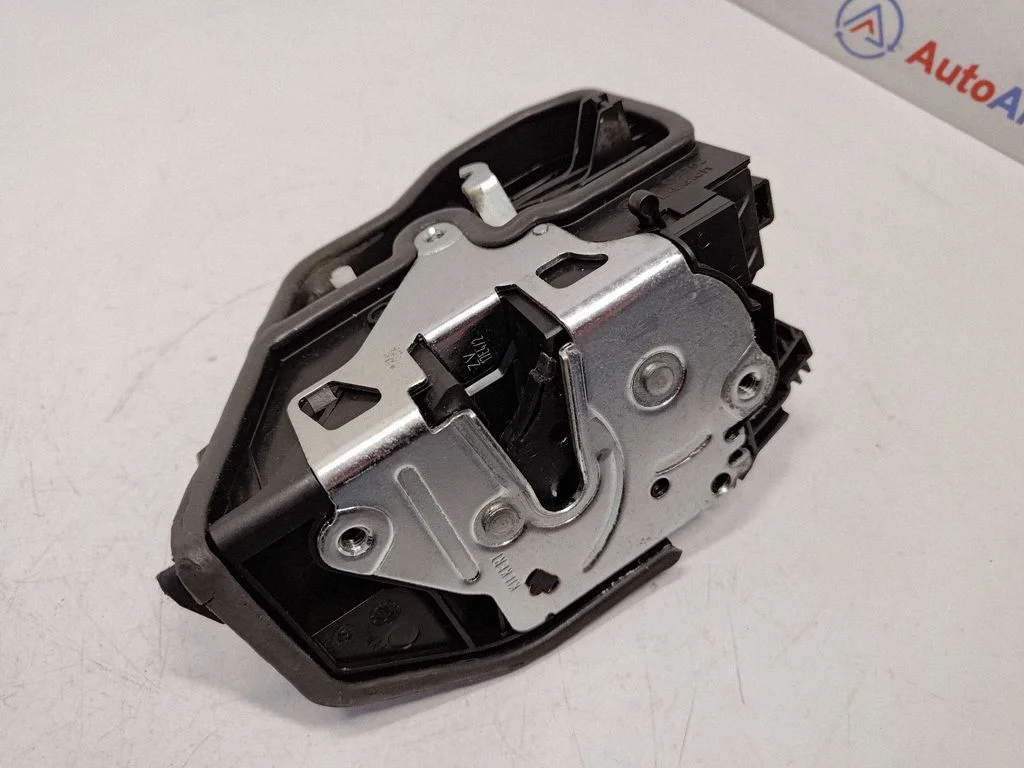 Rear door lock 7229459