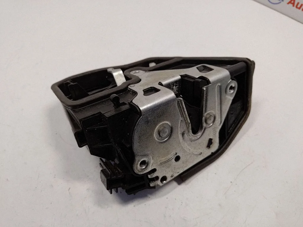 Rear door lock 7229460