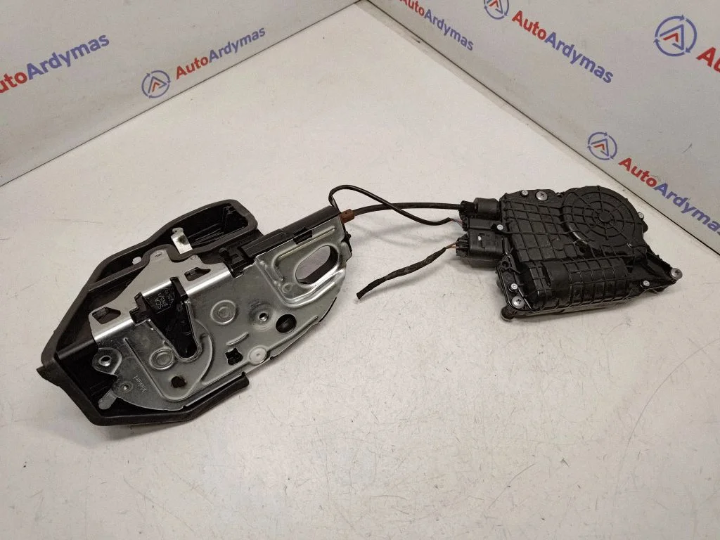 Rear door lock 7185687