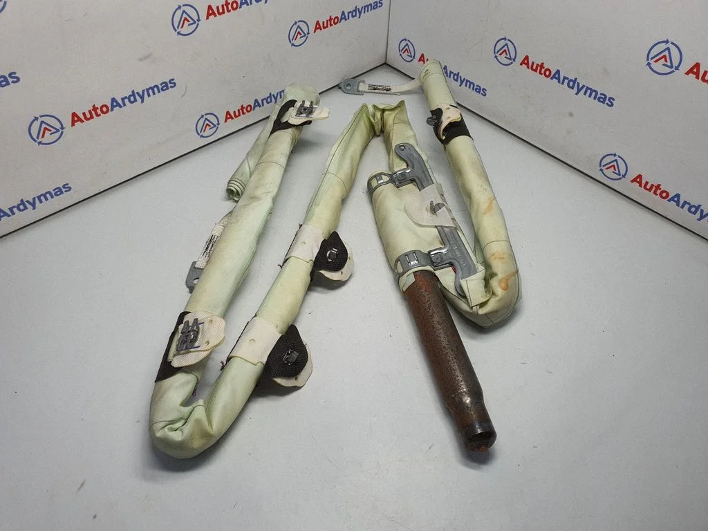 Roof airbag 7311202