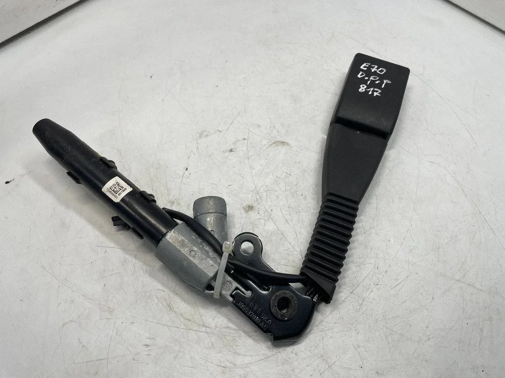 Eesmise turvavöö pannal – BMW X5 E70 (2006-2013)