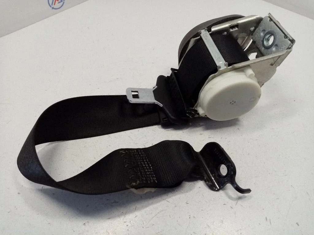 Rear seatbelt 7258447