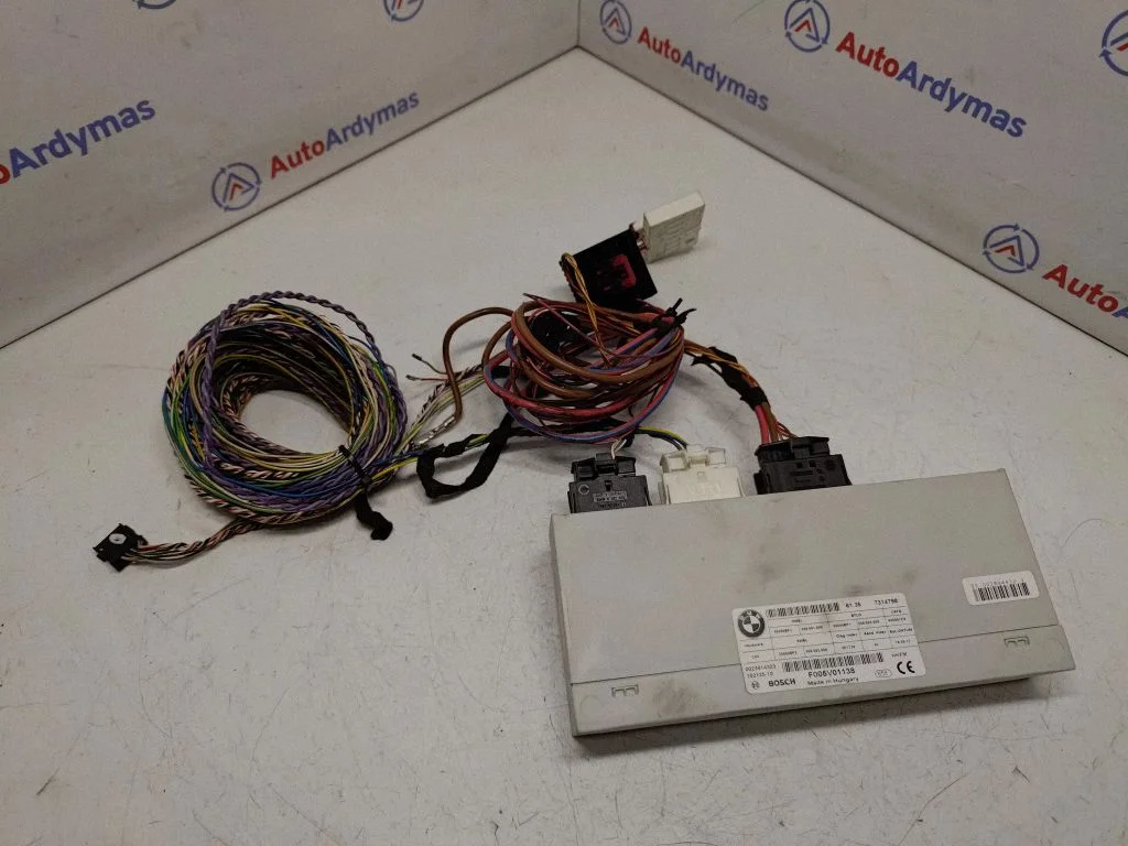 Tailgate/trunk control unit/module 61357314798
