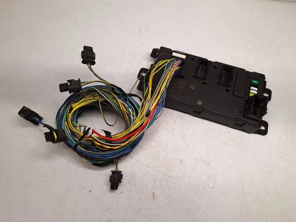 Central body control module 61359374510
