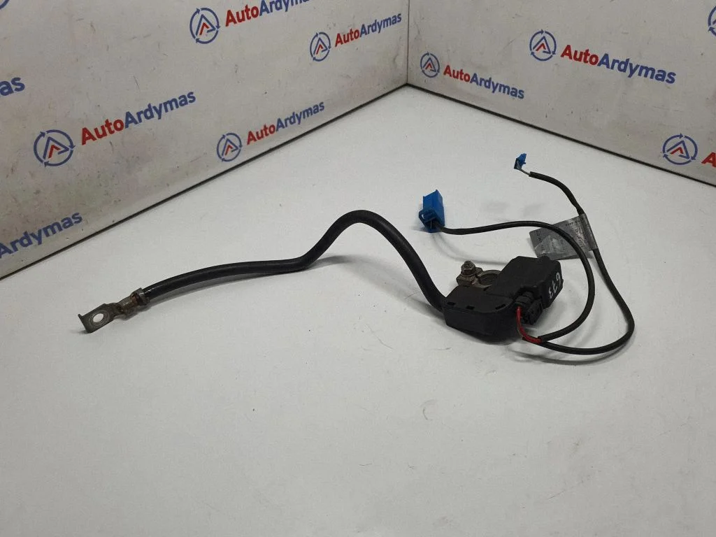 Negative earth cable (battery) 9134855