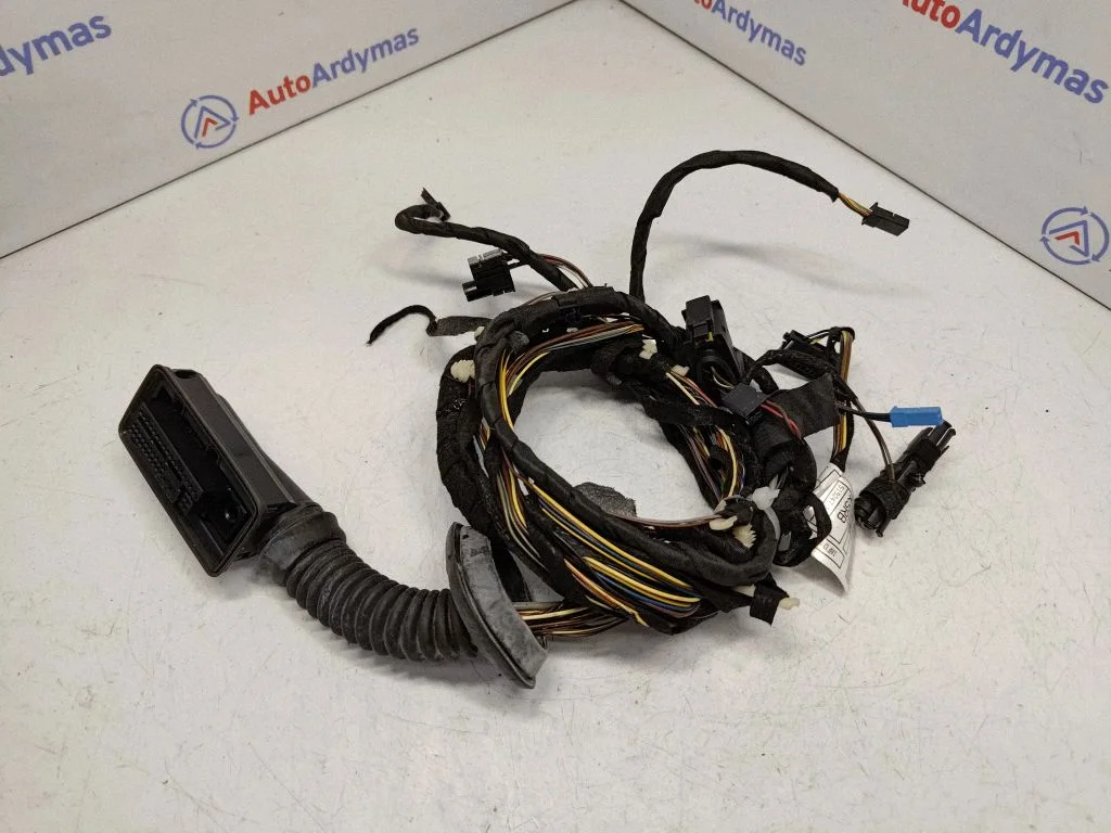 Front door wiring loom 9300389