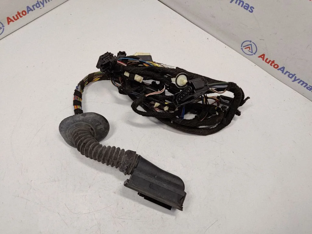 Front door wiring loom 9286244