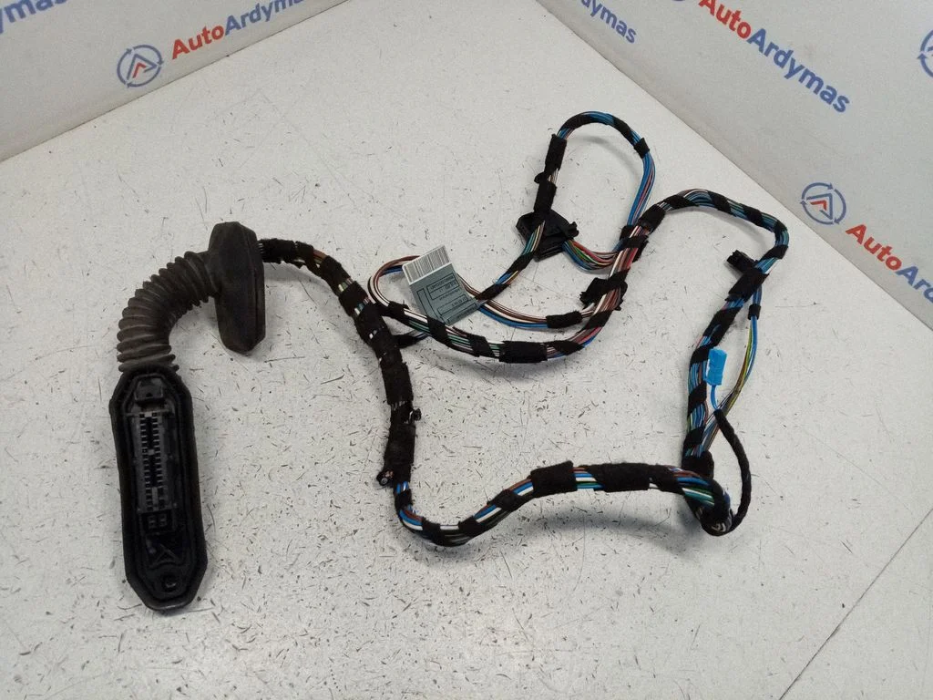 Front door wiring loom 6928651