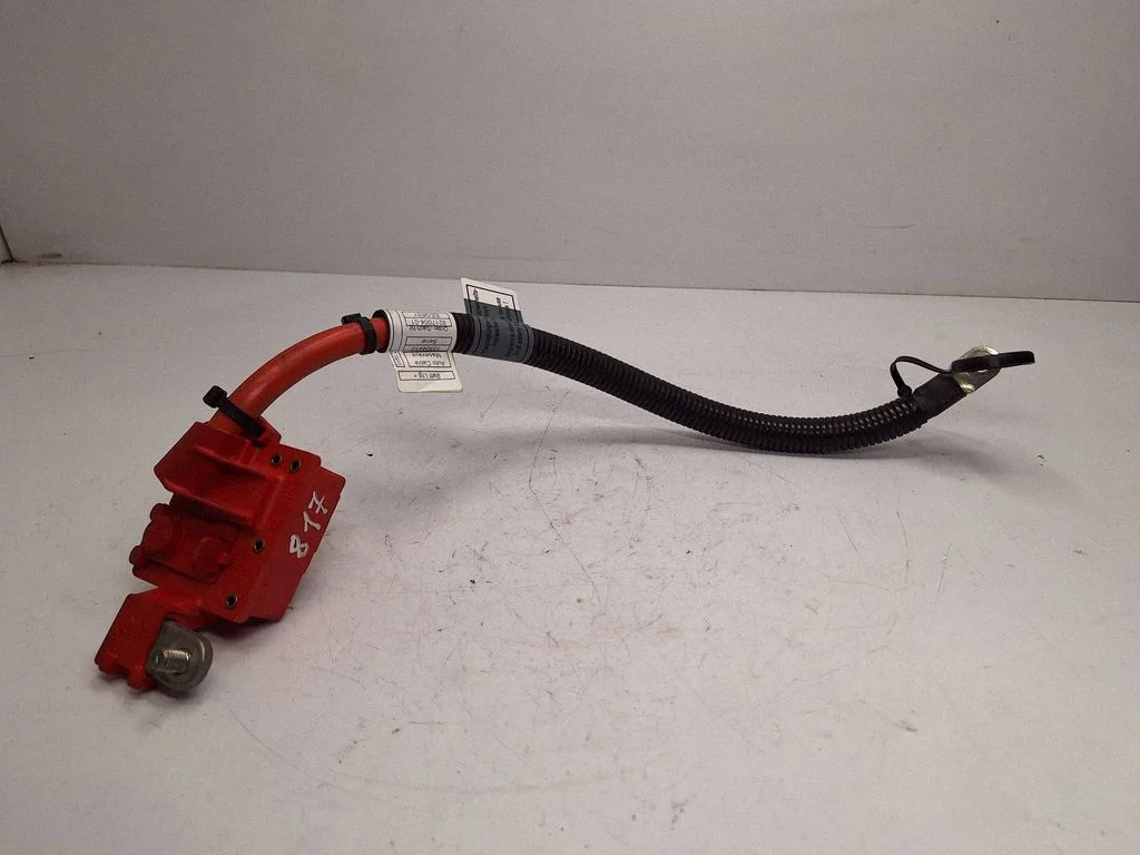Plusa vads (akumulatora) 9217004