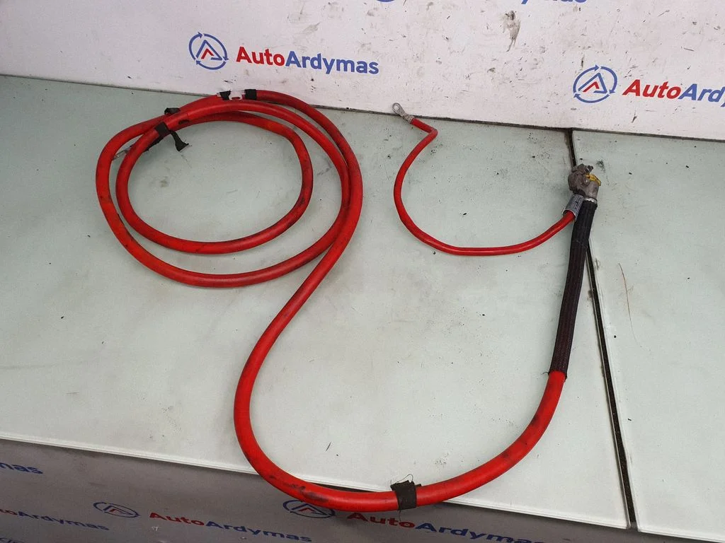 Positive cable (battery) 7893031