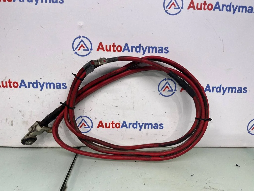 Positive cable (battery) 6927704