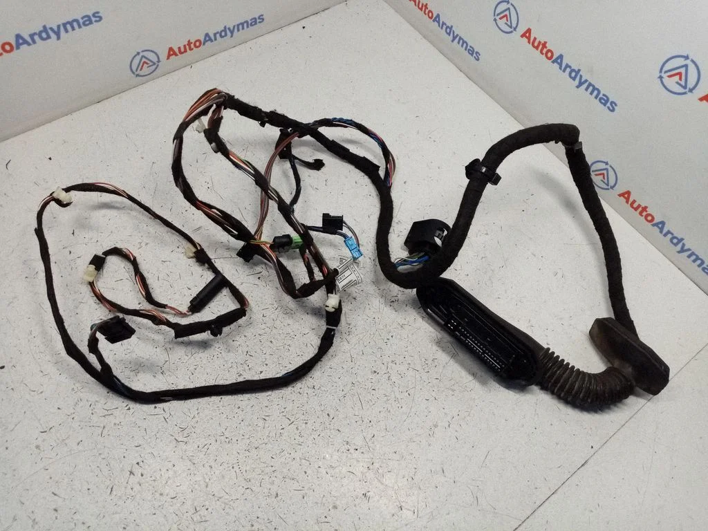 Front door wiring loom 9269958