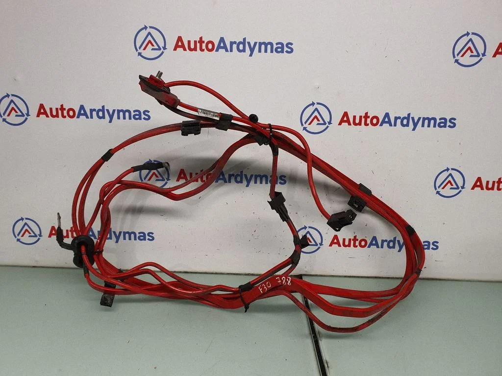 Plusa vads (akumulatora) – BMW 3. sērija F30 F35 F31 (2012-2018)