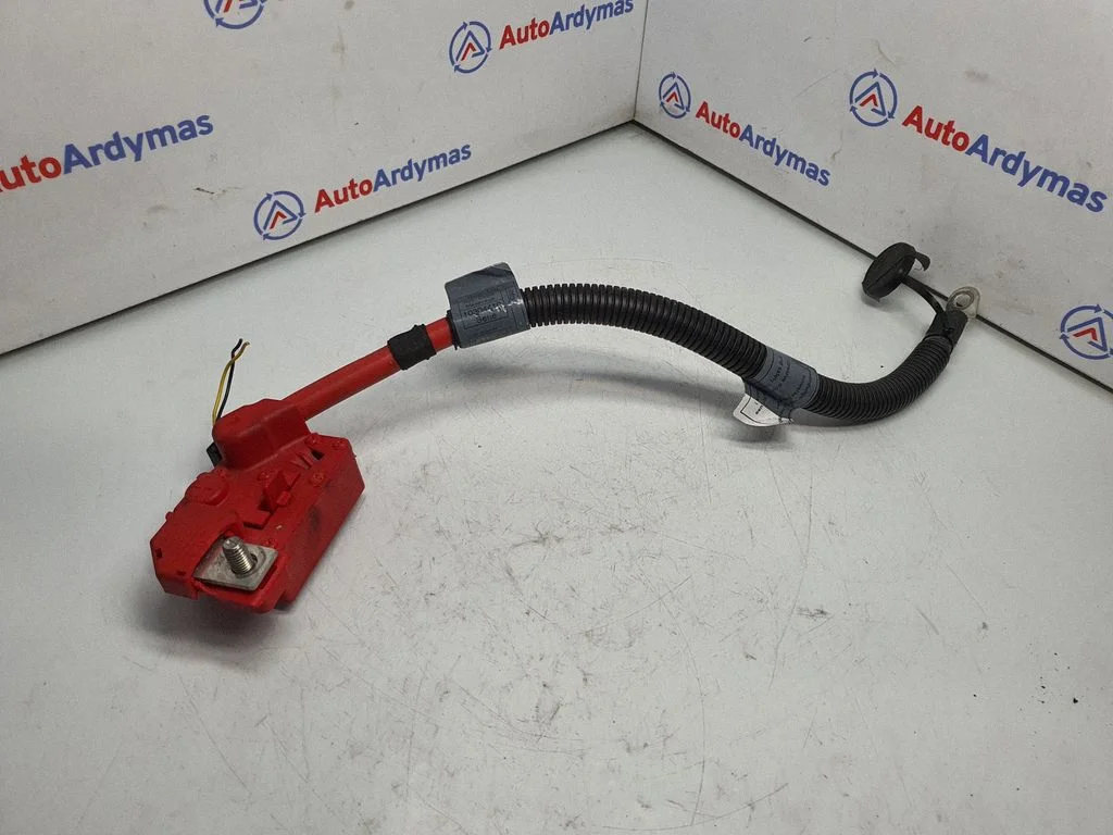 Plusa vads (akumulatora) – BMW X5 E70 (2006-2013)